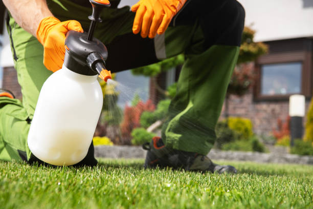 Best Spider Control Near Me  in Fallston, MD