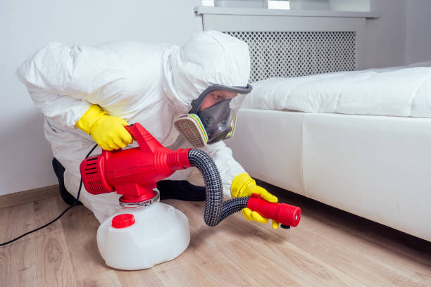 Best Local Pest Control Services  in Fallston, MD