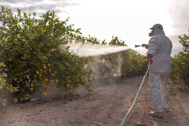 Best Pest Control Near Me  in Fallston, MD
