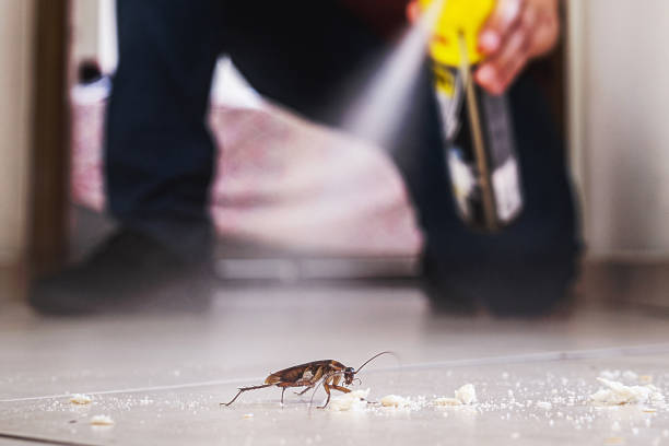 Best Affordable Pest Control Services  in Fallston, MD