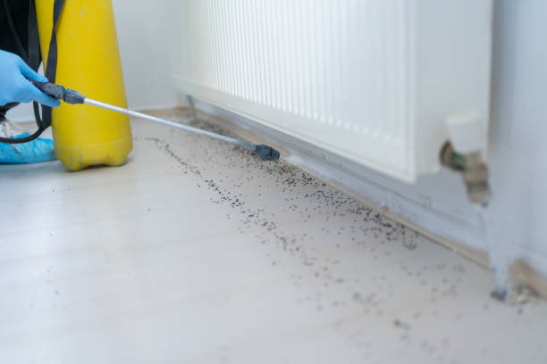 Best Pest Inspection Near Me  in Fallston, MD