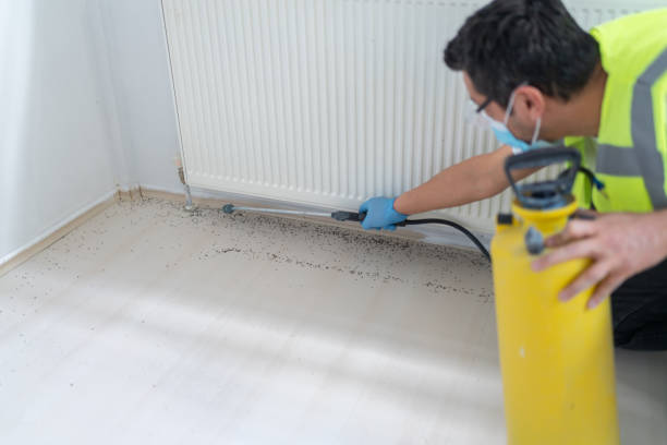 Best Exterminator Services  in Fallston, MD