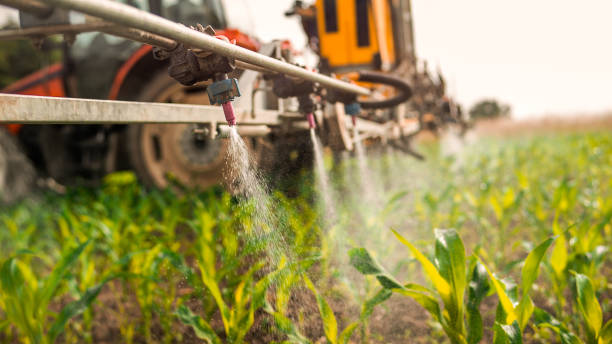 Best Mosquito Control Services  in Fallston, MD